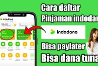 Pinjaman Online Indodana Solusi Dana Cepat yang Aman dan Terpercaya