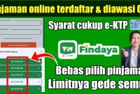 Pinjaman Online Findaya Solusi Dana Cepat, Aman, dan Fleksibel