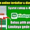 Pinjaman Online Findaya Solusi Dana Cepat, Aman, dan Fleksibel
